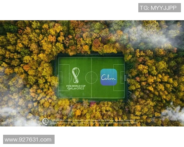 世界杯热潮下的退伍军人心理关怀与PTSD关注提升之道